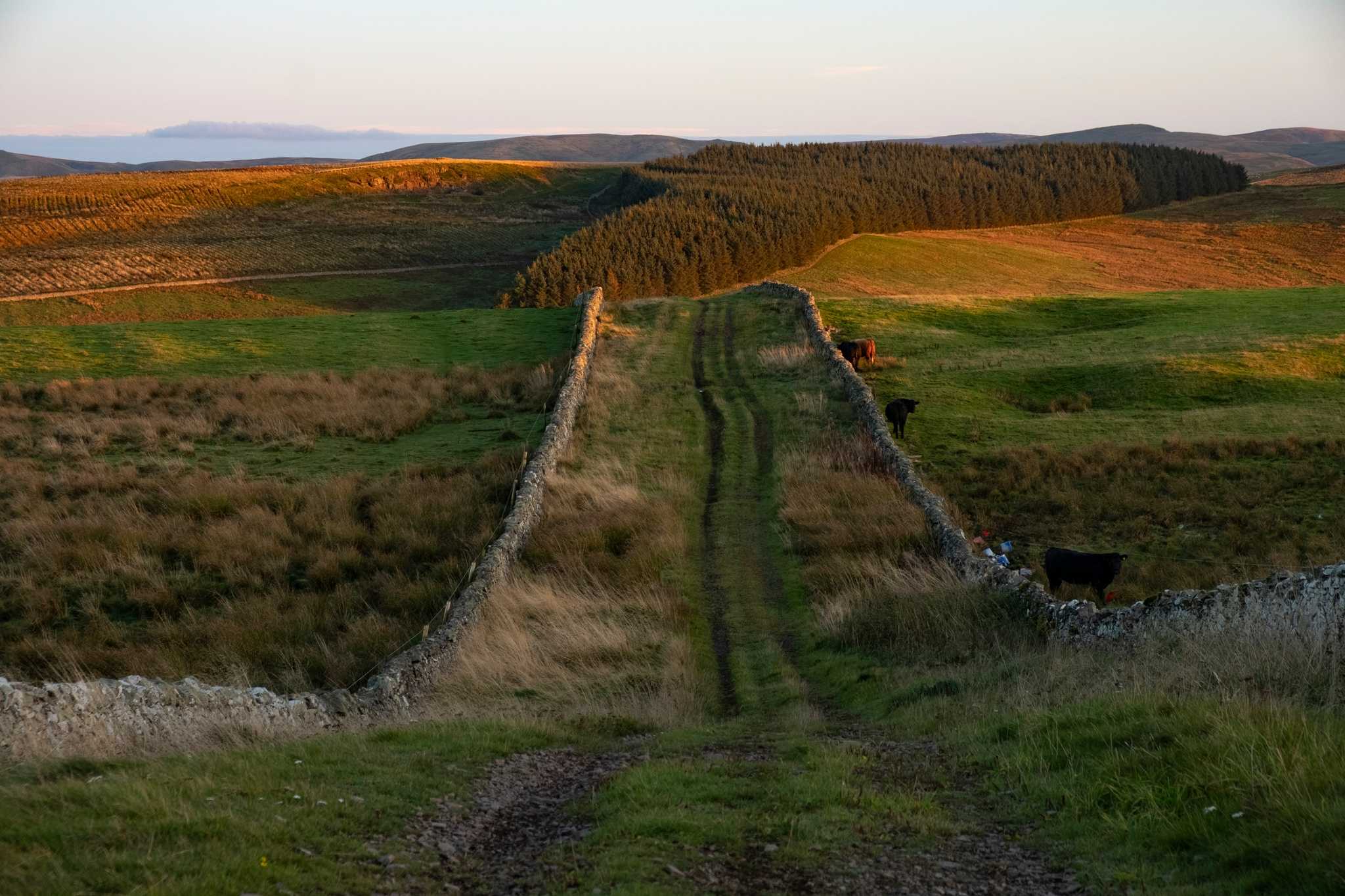 tourist information scottish borders