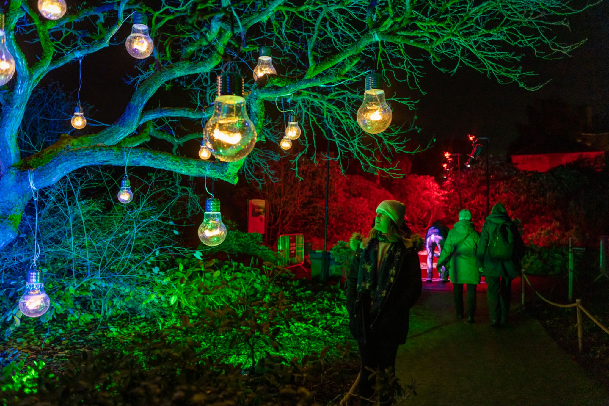 8 Enchanting Sound & Light Shows In Scotland Not To Miss