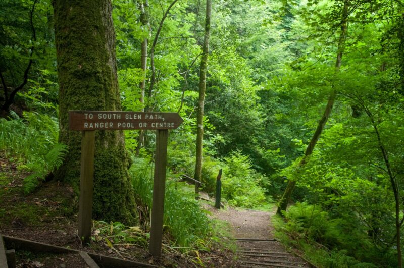 Forest trails through Kelburn Castle & Country Centre