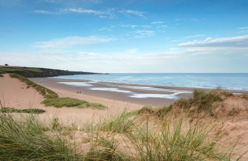 People Walking On The Beach At Lunan Bay Near Montrose Angus