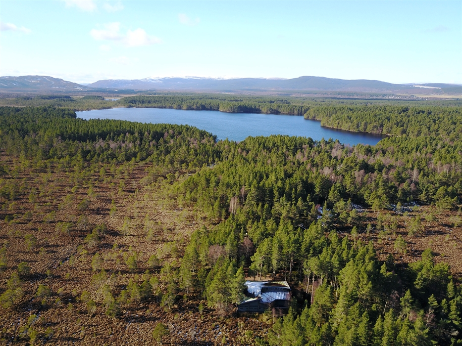 RSPB Scotland Loch Garten Nature Centre, Nethybridge Nature Centres