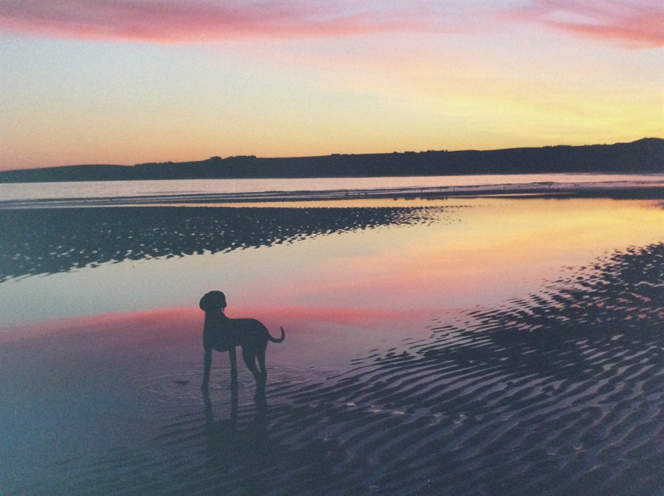 Kilmarnock Arms Hotel, Cruden Bay Small Hotel VisitScotland