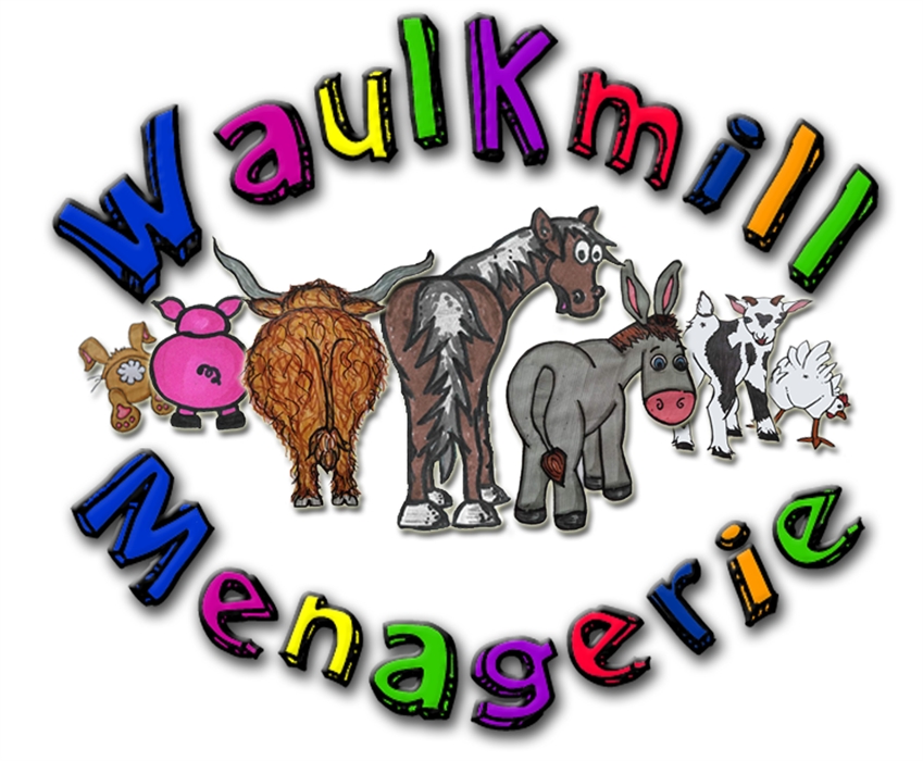 waulkmill-menagierie-petting-farm-turriff-children-s-attractions