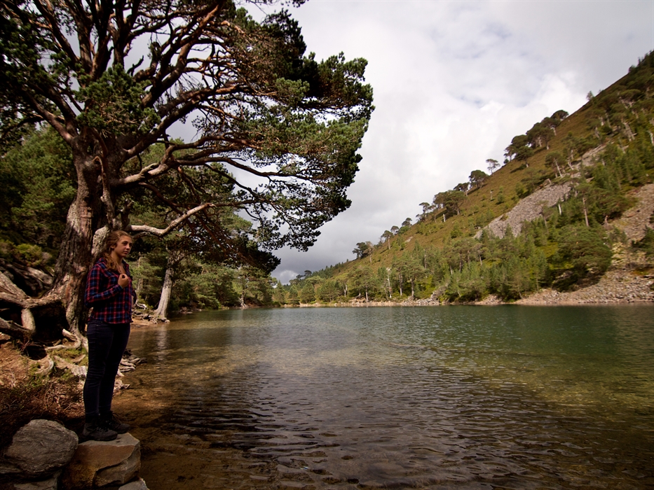 Wilderness Scotland Family, Aviemore Multiactivity Centre VisitScotland